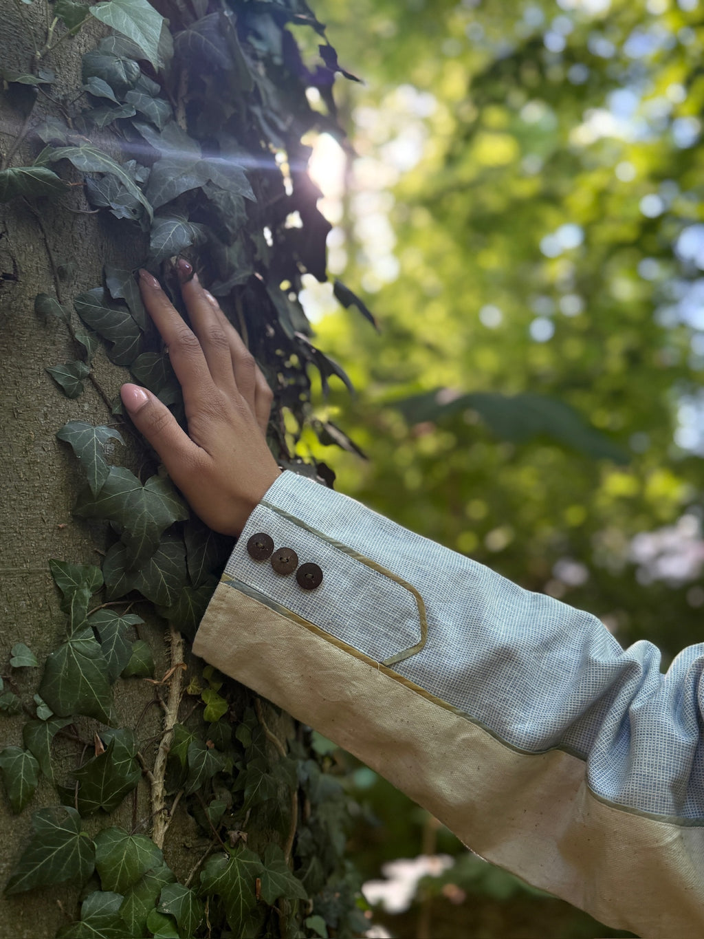 The Forest Blazer