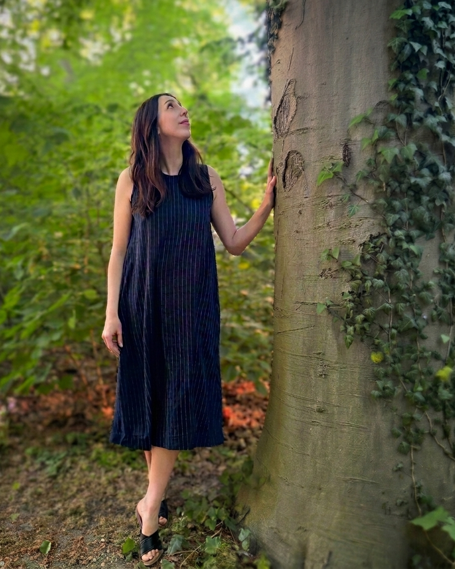 The Indigo Dress